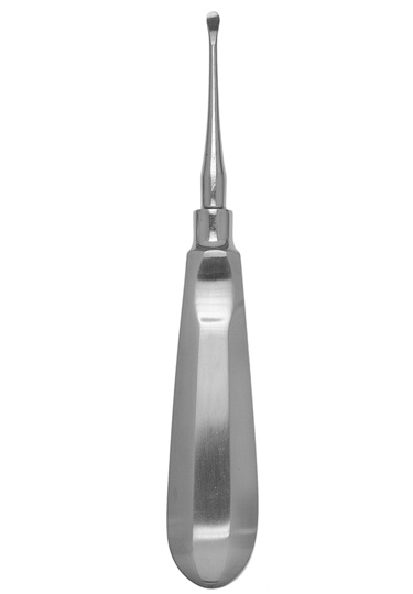 Molt Curette