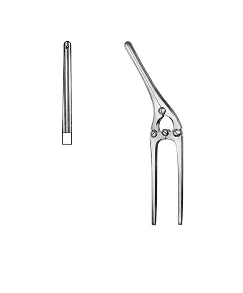 Intestinal and Pylorus Clamp