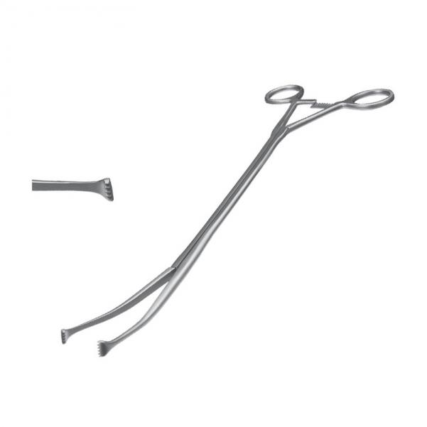 Allis forceps – cvd left , w/ratchet,