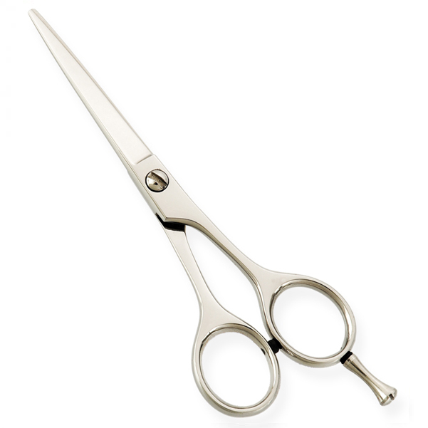 Professional hair Cutting Scissors