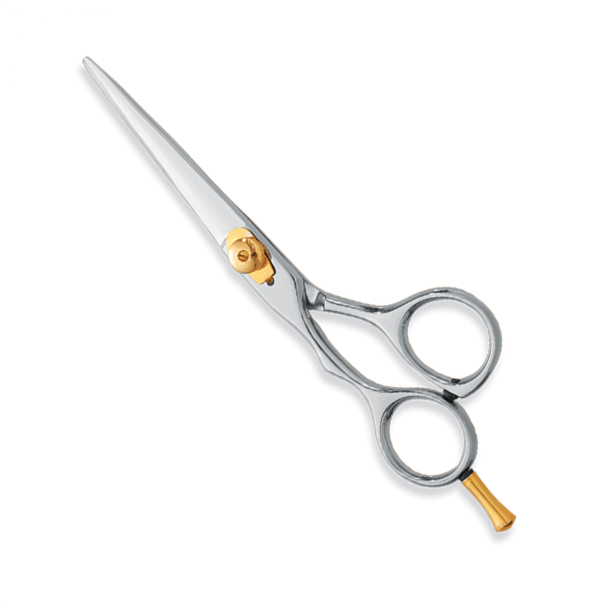 Professional hair Cutting Scissors