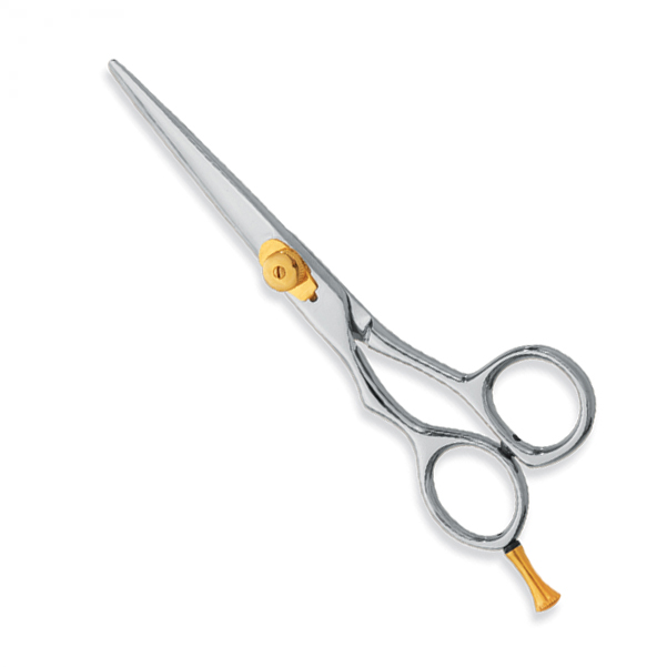 Professional hair Cutting Scissors